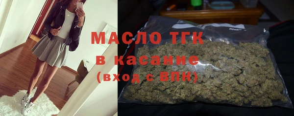 сатива Покачи