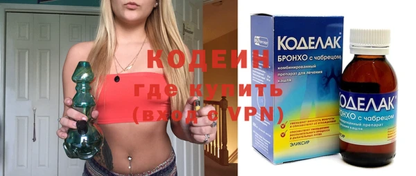 сатива Покачи