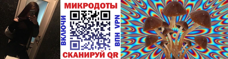 Галлюциногенные грибы мухоморы  где можно купить наркотик  KRAKEN зеркало  Чкаловск 