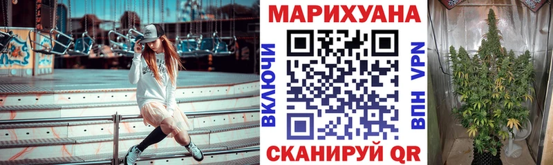 Канабис конопля  цена   Чкаловск 